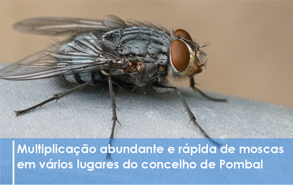 comunicado_unidade_de_saude_publica_e_servico_municipal_de_protecao_civil