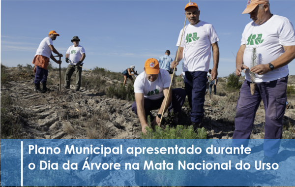 municipio_fomenta_projetos_florestais_com_plantacao_de_especies_autoctones