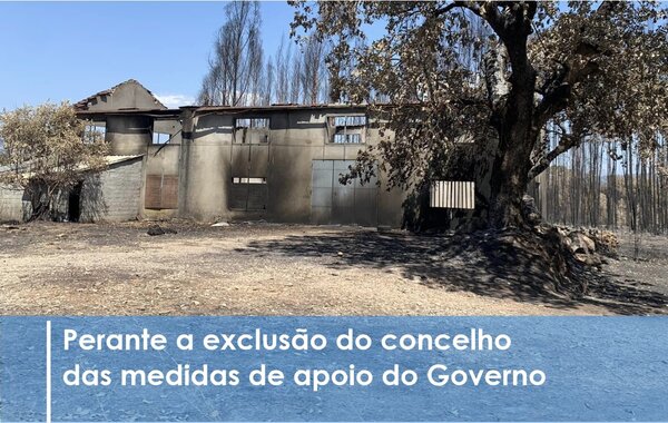 municipio_defende_igualdade_de_tratamento_das_populacoes_afetadas_pelos_incendios
