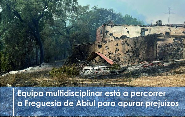 camara_faz_levantamento_dos_danos_dos_incendios