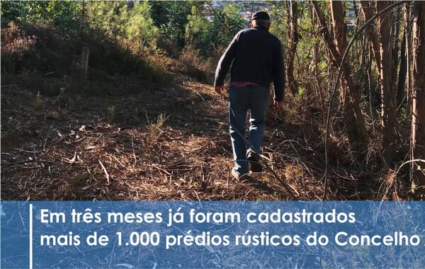 bupi_de_pombal_regista_novo_recorde_de_registos_no_cadastro_simplificado