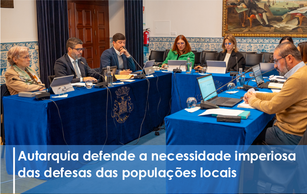 imagem pormenor reunião de câmara