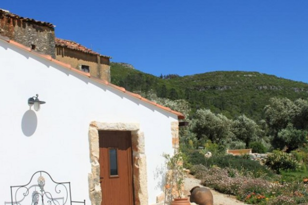 screenshot_2024_12_04_092038