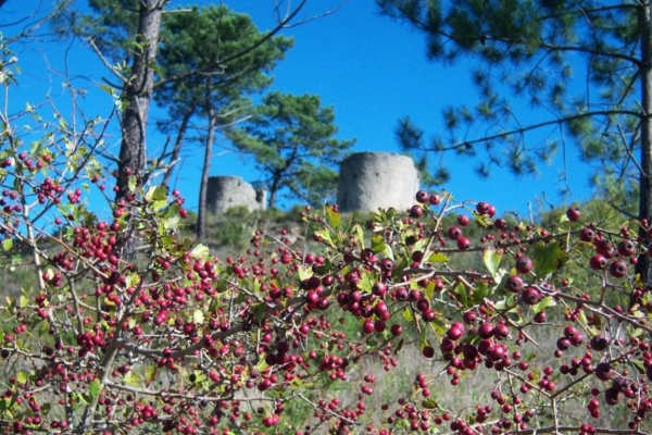 screenshot_2024_12_05_110207