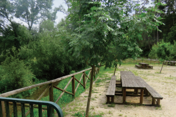 screenshot_2024_12_05_110355