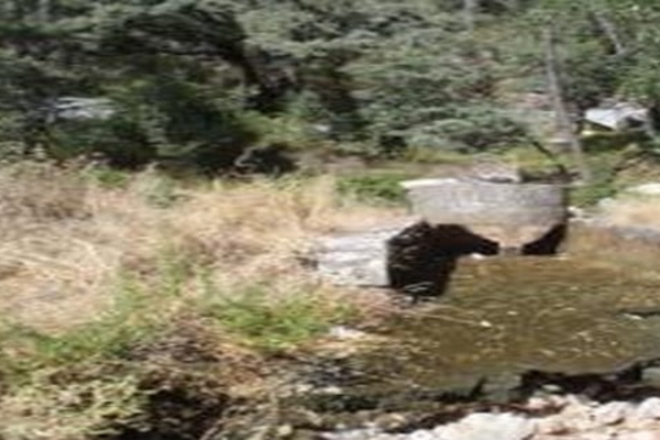 screenshot_2024_12_05_132948