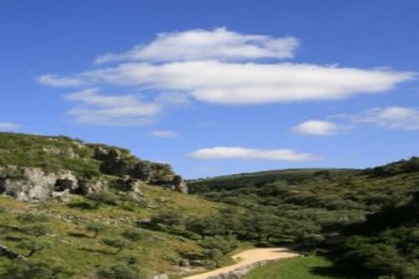 screenshot_2024_12_05_133328