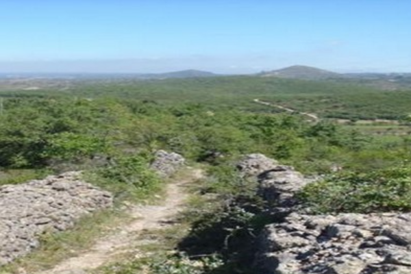 screenshot_2024_12_05_133934