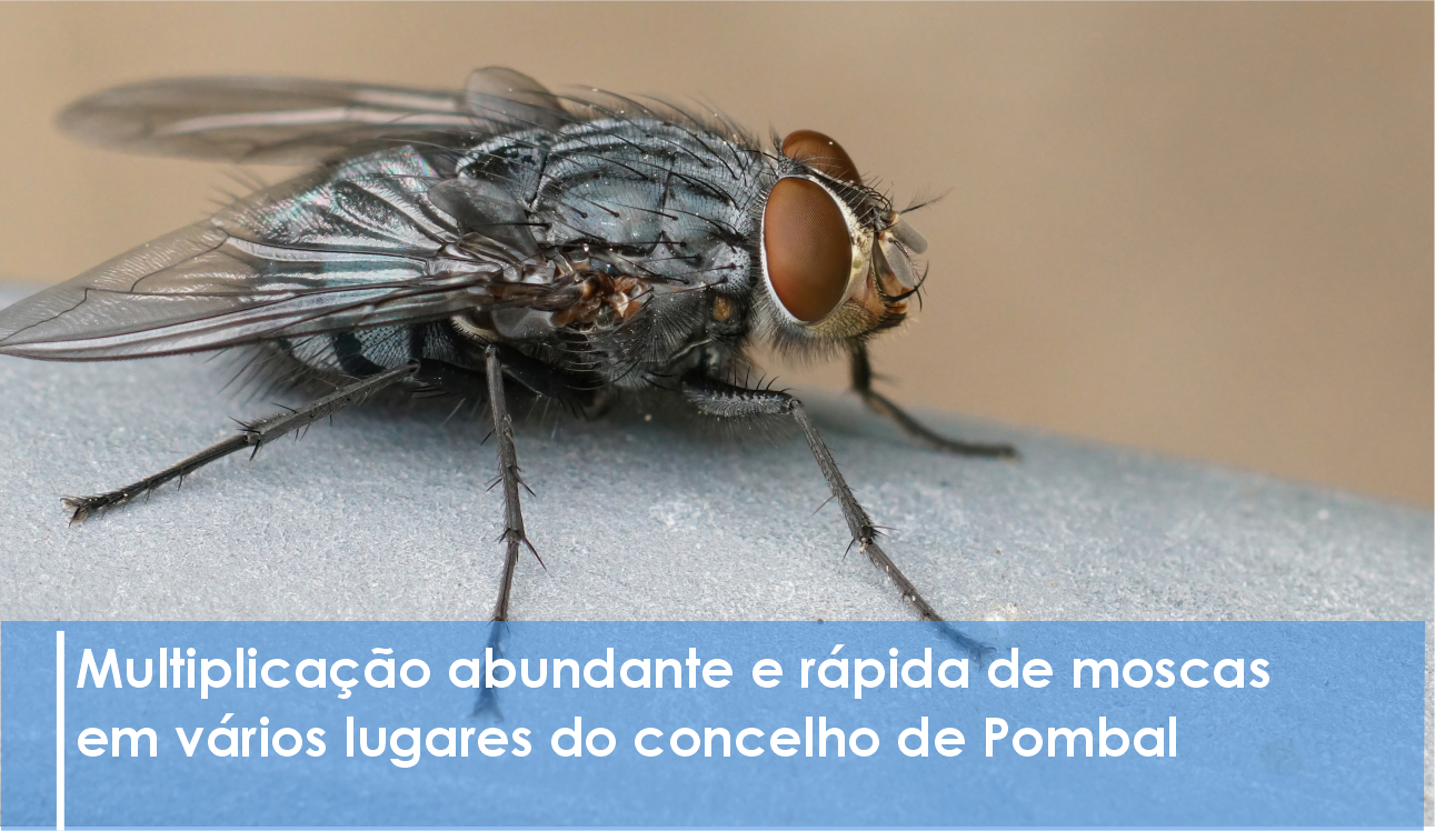 COMUNICADO | Unidade de Saúde Pública e Serviço Municipal de Proteção Civil