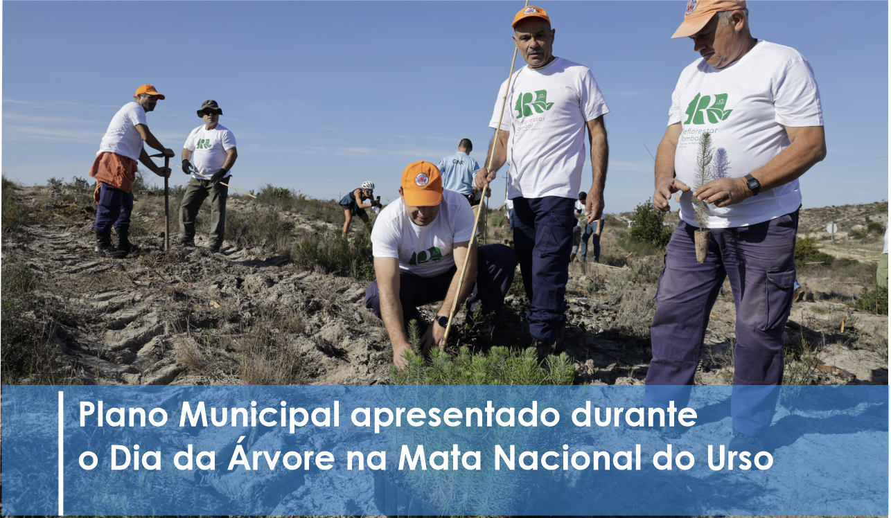 Município fomenta projetos florestais com plantação de espécies autóctones