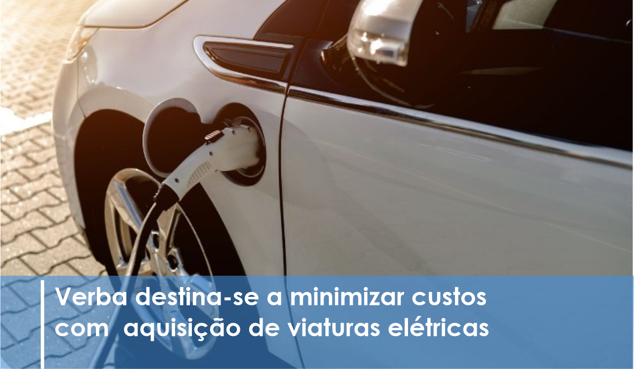 Câmara atribui 72 mil euros a IPSS para apoiar Mobilidade Verde Social