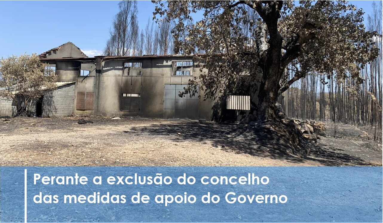 Município defende igualdade de tratamento das populações afetadas pelos incêndios