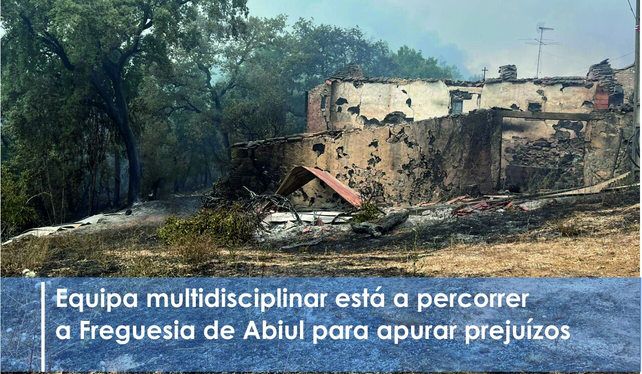 Câmara faz levantamento dos danos dos incêndios