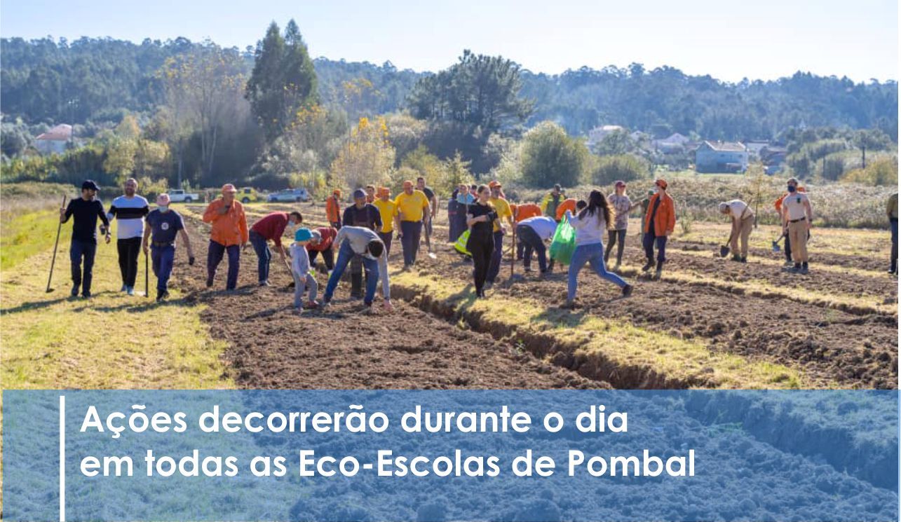 Dia da Floresta Autóctone celebrado com a plantação de mais de 500 árvores