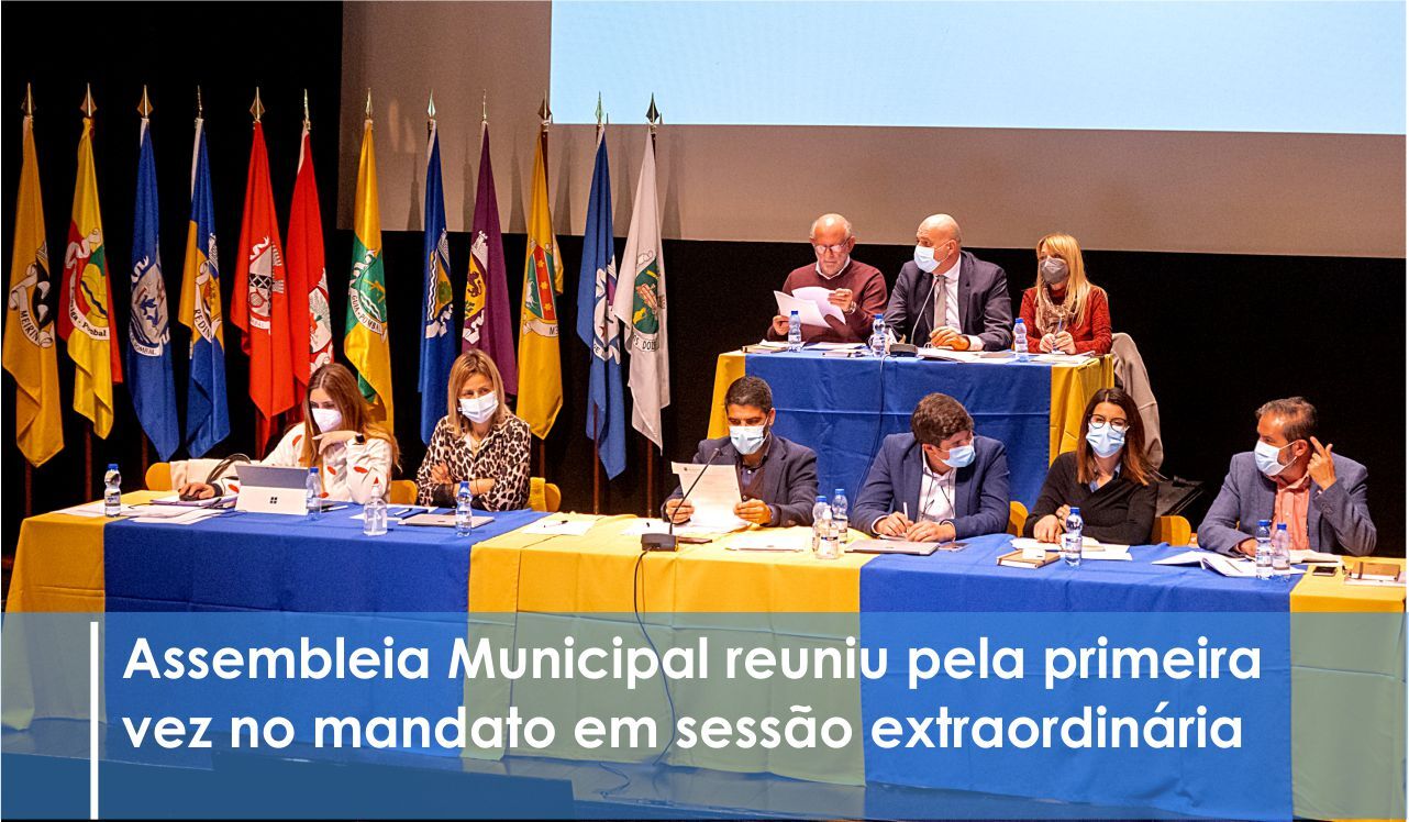 Eleitos representantes para comissões municipais e organismos