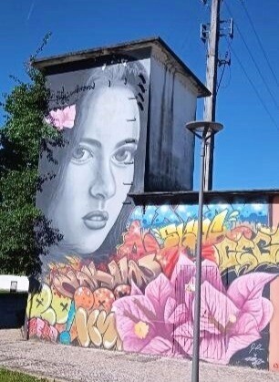 Liberdade de expressão