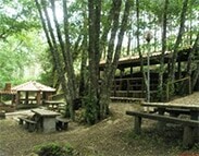 Parque da Fonte da Pedra