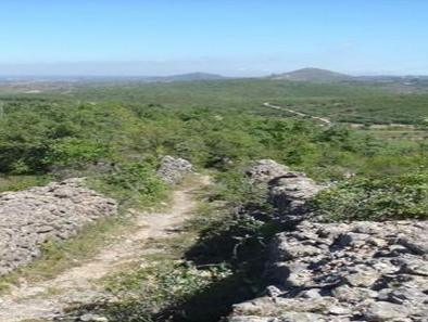 Rota do Queijo Rabaçal