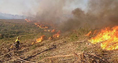 e204f3_e7fef4facf934f10a7b1c33dffa3fb7c