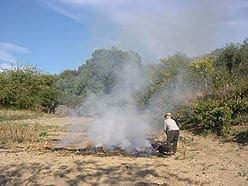 e204f3_1f62daf15a324b0ba0d44d9826fa0425 (1)