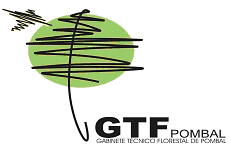 Gabinete T&eacute;cnico Florestal (GTF)