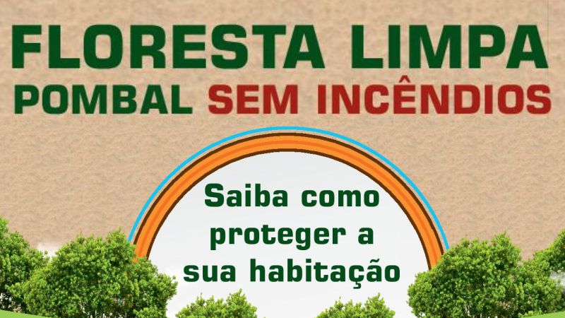 floresta limpa