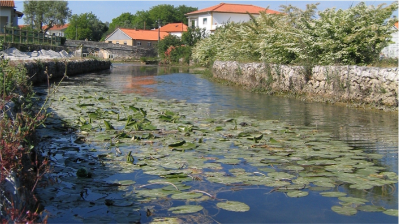 Rio Anços